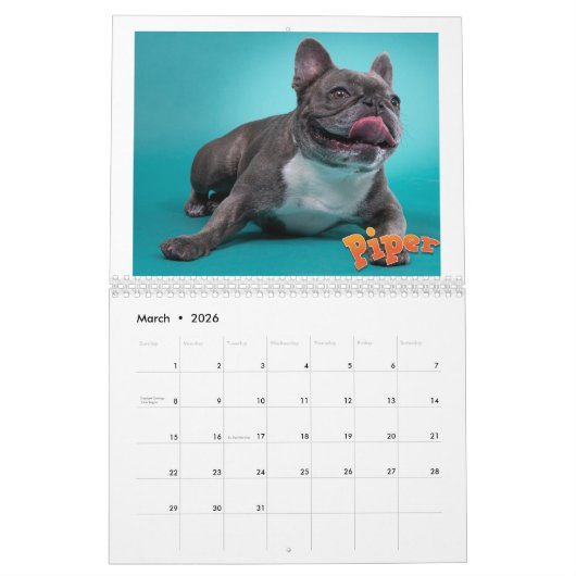 Mancinis Sleepworld 2020 - Kalender (Mär 2026)