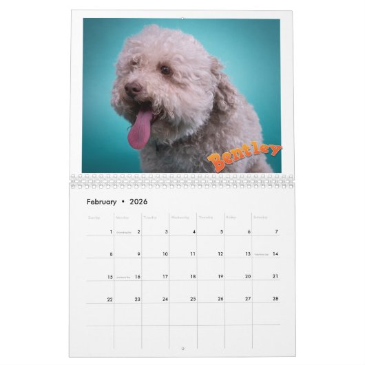 Mancinis Sleepworld 2020 - Kalender (Feb 2026)