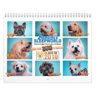 Mancinis Sleepworld 2020 - Kalender