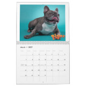 Mancinis Sleepworld 2020 - Kalender (Mär 2027)