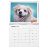 Mancinis Sleepworld 2020 - Kalender (Jan 2027)