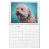 Mancinis Sleepworld 2020 - Kalender (Feb 2027)