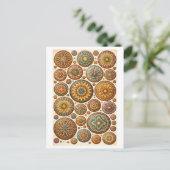 Mandala-Collage im Vintage-Stil Postkarte (Stehend Vorderseite)