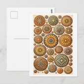 Mandala-Collage im Vintage-Stil Postkarte (Vorne/Hinten)