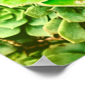 Mandala Green Gold Abstrakte Sukkuline Fotografie Poster (Ecke)