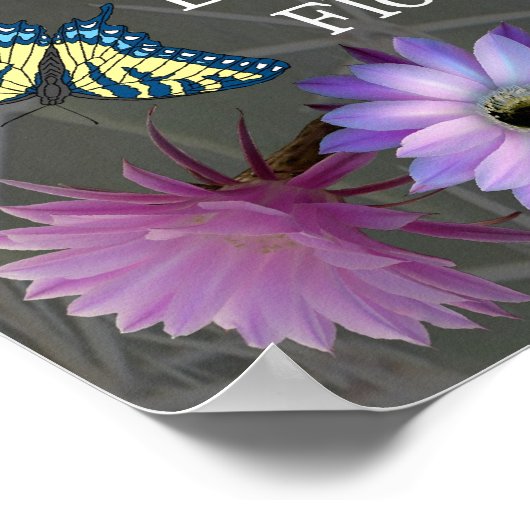 Mandala mit Schmetterlingen Poster (Ecke)