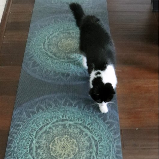 Mandala Yogamatte