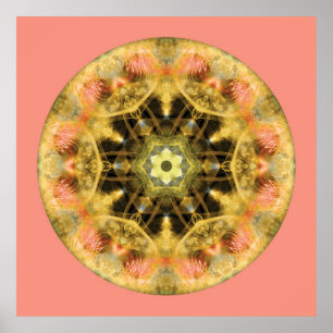 Mandalas des Herzens der Transformation, Nr. 4 Poster