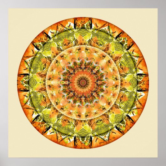Mandalas von Deep Trust, Nr. 10 Poster (Vorne)