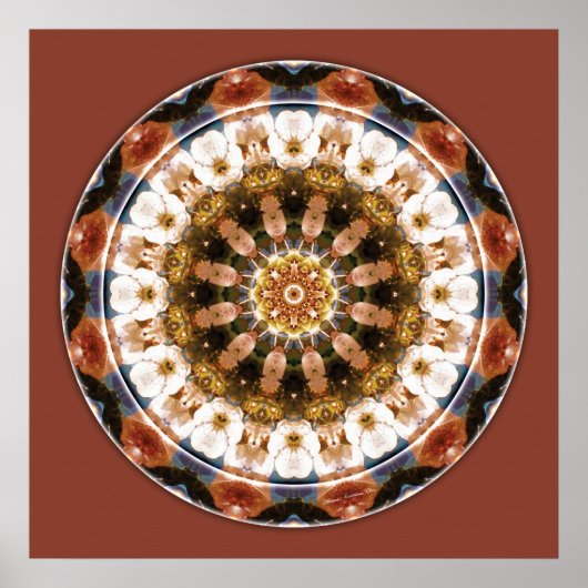 Mandalas von Deep Trust, Nr. 11 Poster (Vorne)