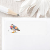 MANDARIN DUCK (Insitu)