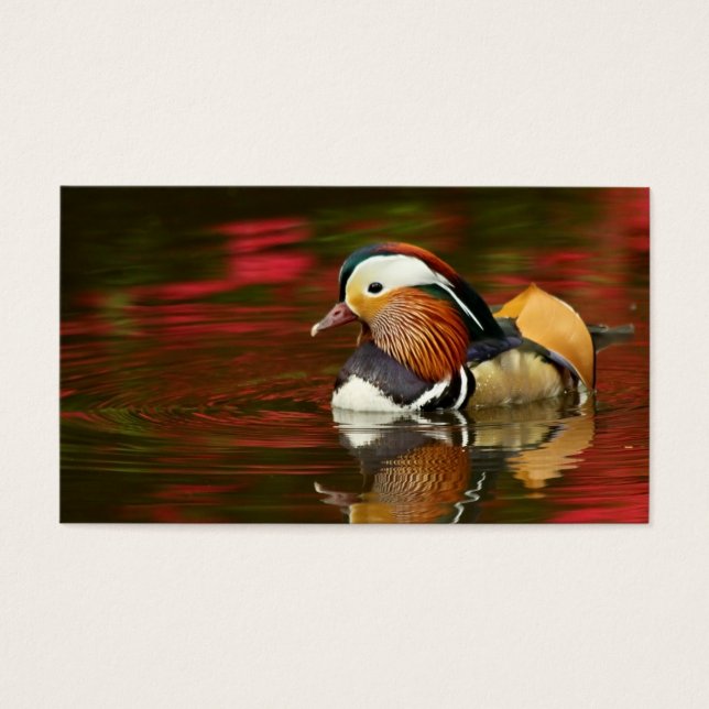 Mandarin Duck (Vorderseite)