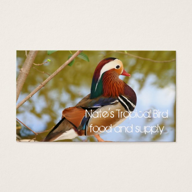 Mandarin Duck (Vorderseite)