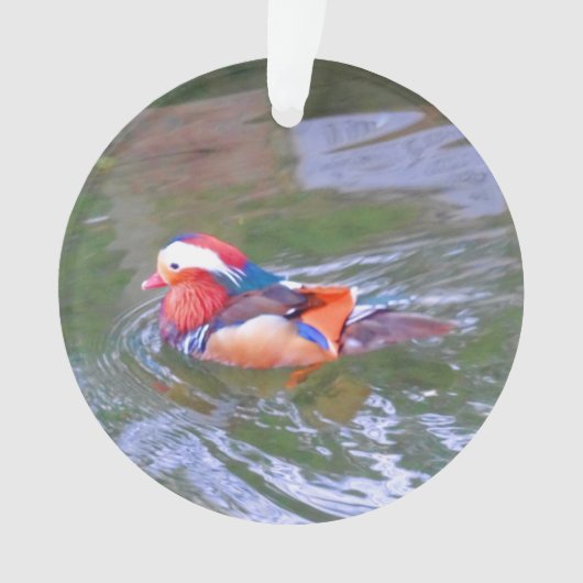Mandarin Duck #2 Ornament (Vorderseite)