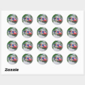 Mandarin Duck #3 Stickers (Blatt)