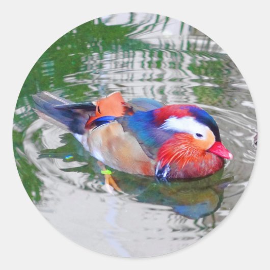 Mandarin Duck #3 Stickers (Vorderseite)
