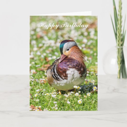 Mandarin Duck Birthday Card Karte (Vorderseite)