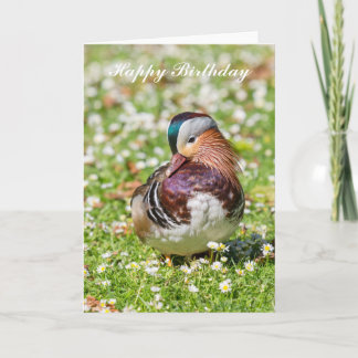 Mandarin Duck Birthday Card Karte