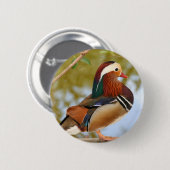 Mandarin Duck Button (Vorne & Hinten)
