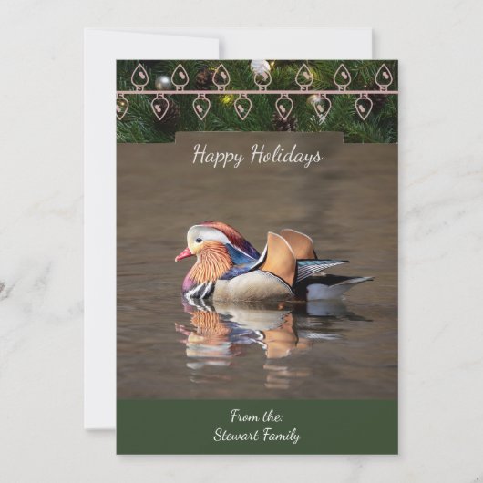 Mandarin Duck Christmas Card Feiertagskarte (Vorderseite)
