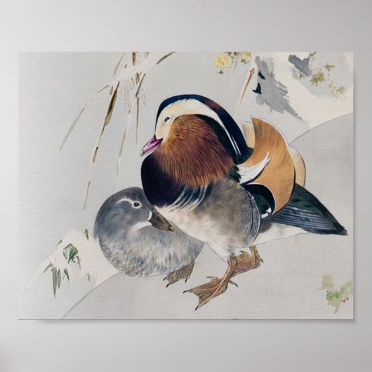 Mandarin Duck Couple, Watanabe Seitei Poster (Vorne)