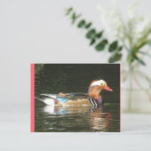 Mandarin Duck DIY Postcard Postkarte (Stehend Vorderseite)