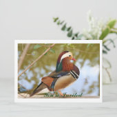 Mandarin Duck Einladung (Stehend Vorderseite)