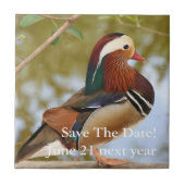 Mandarin Duck Fliese (Vorderseite)