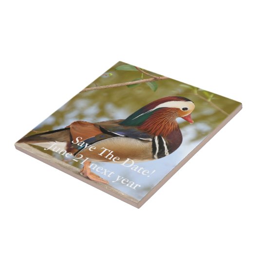 Mandarin Duck Fliese (Seite)