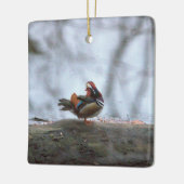 Mandarin Duck Foto Keramik Ornament (Links)