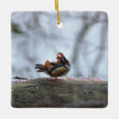 Mandarin Duck Foto Keramik Ornament (Vorderseite)