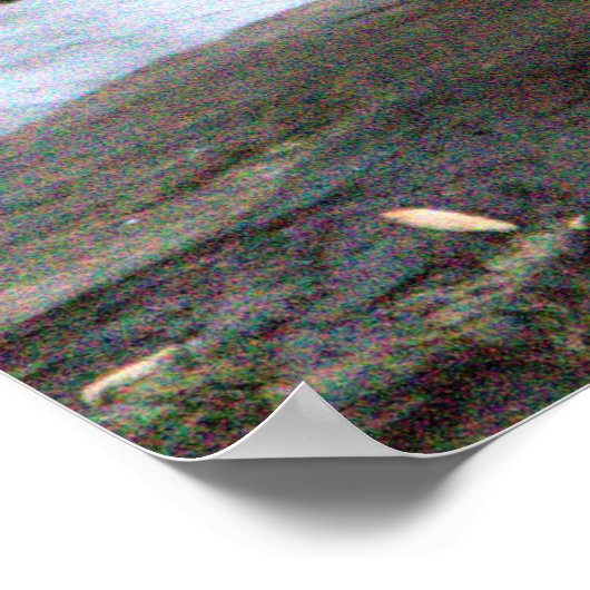 Mandarin Duck Foto Poster (Ecke)