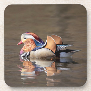 Mandarin Duck Getränkeuntersetzer
