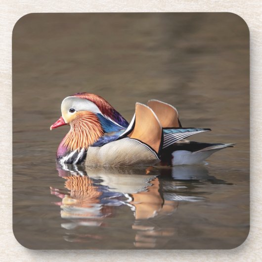 Mandarin Duck Getränkeuntersetzer (Vorderseite)