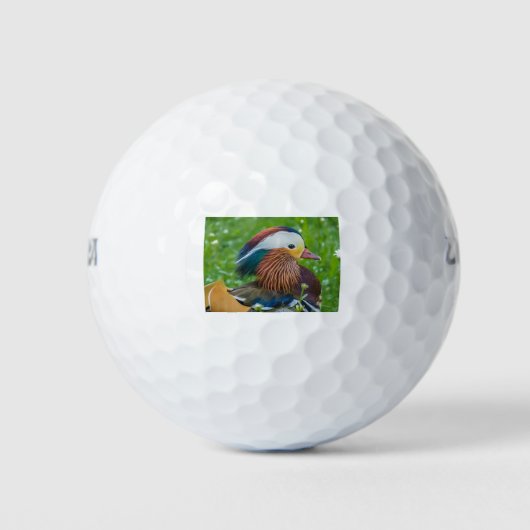 Mandarin Duck Golfball (Vorderseite)
