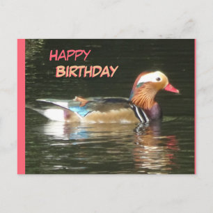 Mandarin Duck Happy Birthday Postcard Postkarte