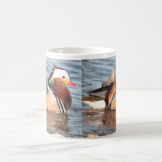 Mandarin Duck Kaffeetasse (Mittel)