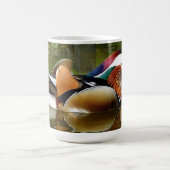 Mandarin Duck Kaffeetasse (Mittel)