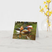 Mandarin Duck Karte (Gelbe Blume)
