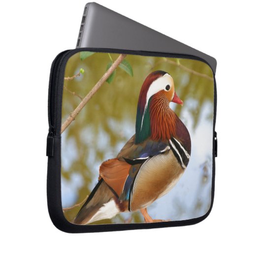 Mandarin Duck Laptopschutzhülle (Vorne Rechts)