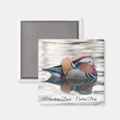 Mandarin Duck Magnet (Vorderseite/Rückseite)