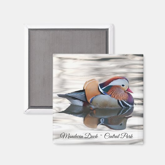 Mandarin Duck Magnet (Vorderseite/Rückseite)