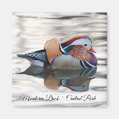 Mandarin Duck Magnet (Vorne)