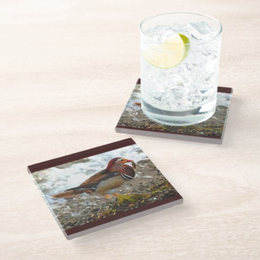 Mandarin-Duck mit Fisch am See Glasuntersetzer (Schrägansicht)