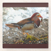 Mandarin-Duck mit Fisch am See Glasuntersetzer (Vorderseite)
