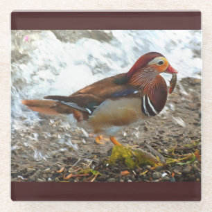 Mandarin-Duck mit Fisch am See Glasuntersetzer