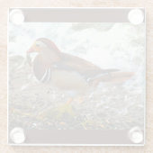 Mandarin-Duck mit Fisch am See Glasuntersetzer (Rückseite)