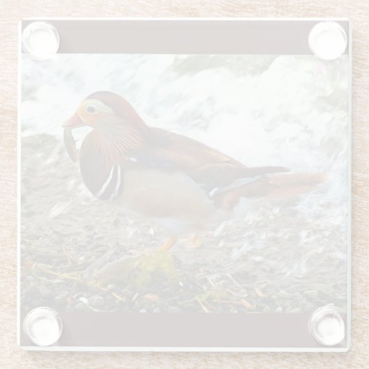 Mandarin-Duck mit Fisch am See Glasuntersetzer (Rückseite)