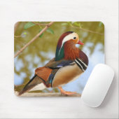 Mandarin Duck Mousepad (Mit Mouse)