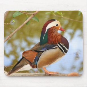 Mandarin Duck Mousepad